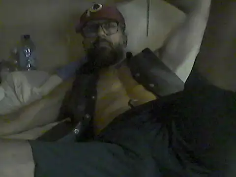 pigDany webcam