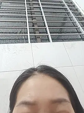 Nembibi webcam