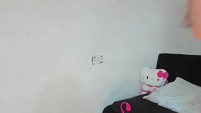 Eirlysx webcam