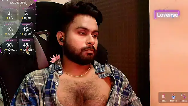SilverShade3 webcam