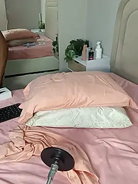 Liastarkk webcam
