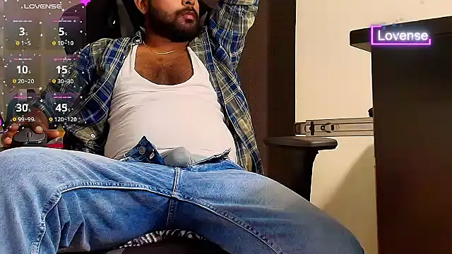 SilverShade3 webcam