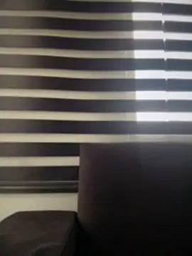 Sasha-firee live webcam
