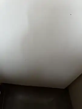 Rafal555578