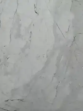 Bunny3095 webcam
