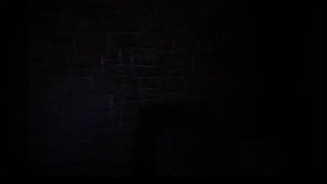 ElizaStorm webcam
