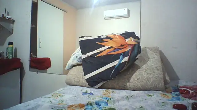 Vanessinhadappkrosa webcam