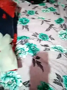 ZOYA-STRIP webcam