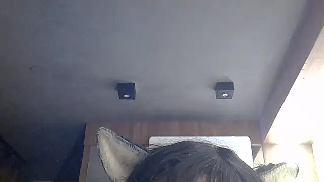 SkinnyKitten webcam
