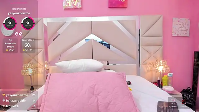 rousse_millers webcam