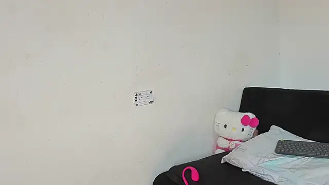 Eirlysx webcam