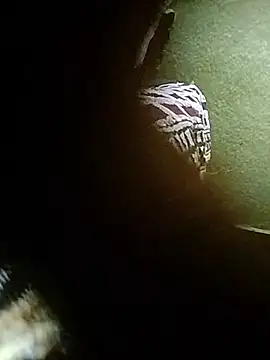 loyalboy_0052 webcam