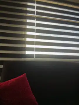 Sasha-firee webcam