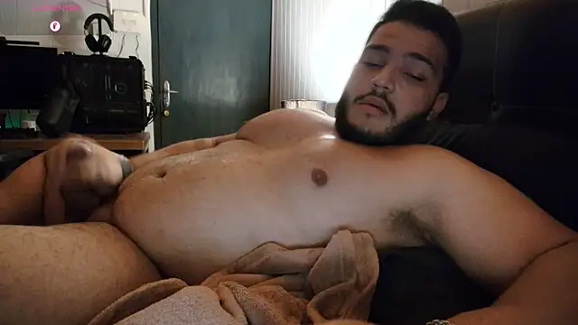 theusxbear webcam