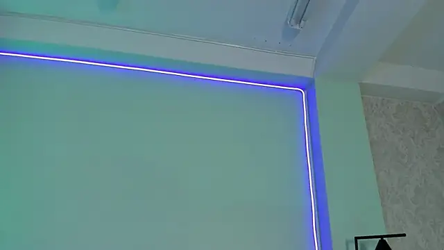Hidori_rem webcam