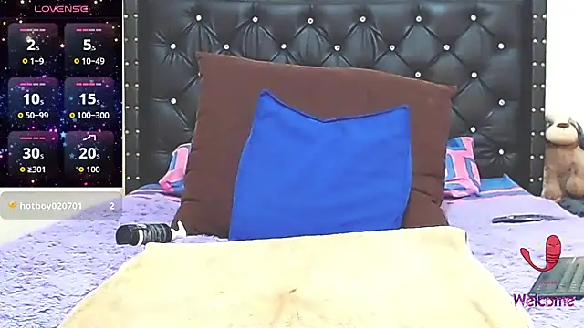 AnySugar webcam
