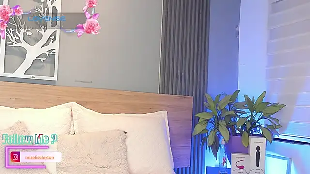 Elise-Leyton webcam