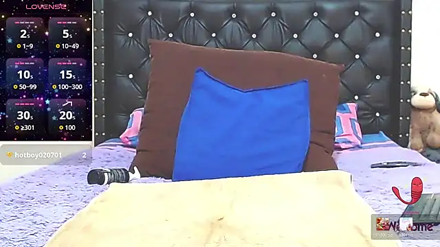 AnySugar webcam