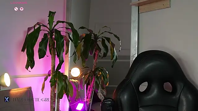 charlotte__grey webcam