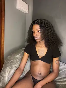 Trans_fairy webcam
