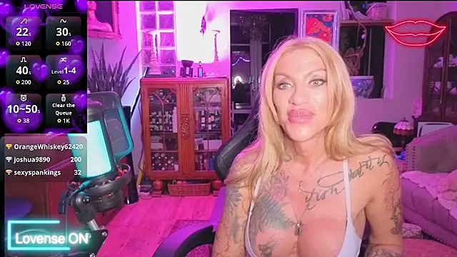 shytrans_uk webcam