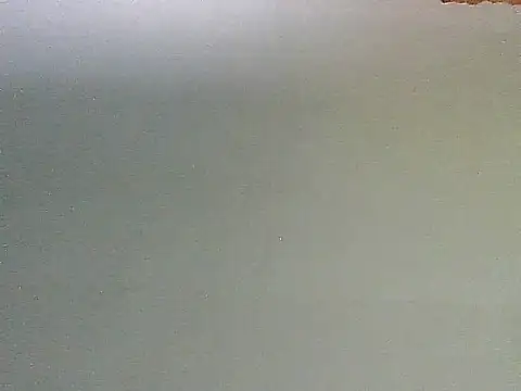 thomas2wood webcam