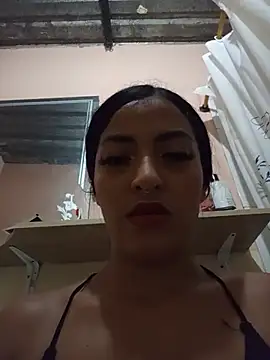 SiennaBlaze3 webcam
