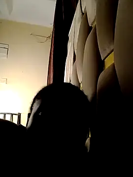 tirries_gal webcam
