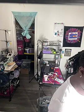 trvllp webcam