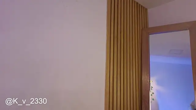 sofiesoft webcam