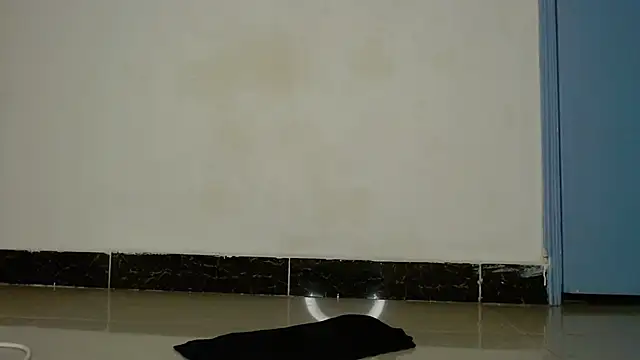 Perqueen webcam