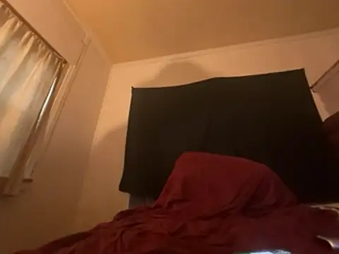 ThrowedWorldWide webcam