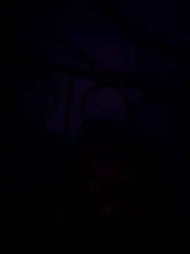 dhanushanifa webcam