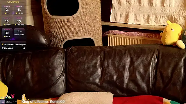 GamerGirl_Eve webcam