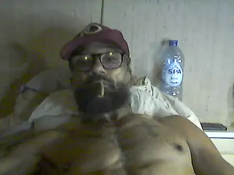pigDany webcam