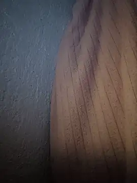 Mancho2289 webcam