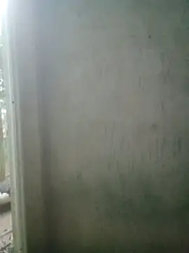 phlin1 webcam