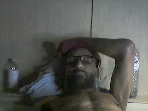 pigDany webcam