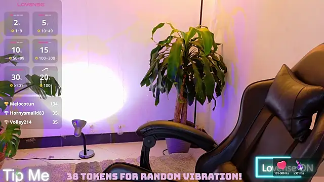 Sarasavage webcam