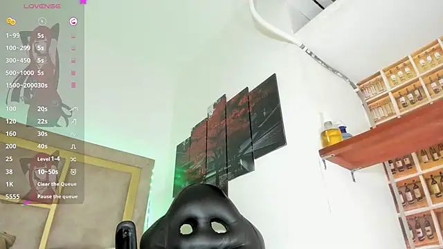 _Shirley_ webcam