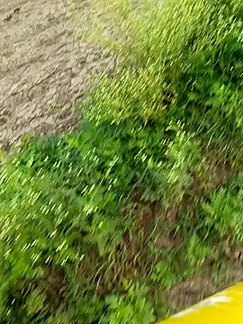 hotpussyxxx777 webcam