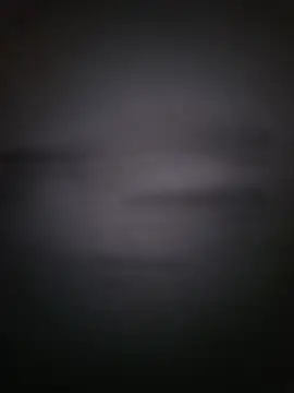 Coral_hi webcam