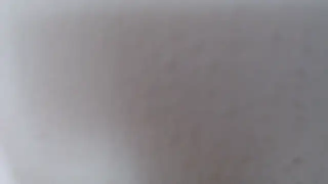 alexam_gal@xh webcam