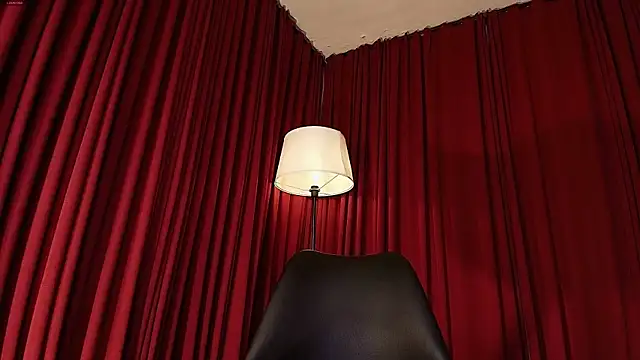 Alice-blaker webcam