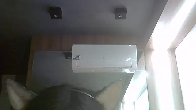 SkinnyKitten webcam