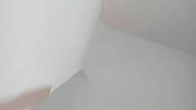Emmy_lander1