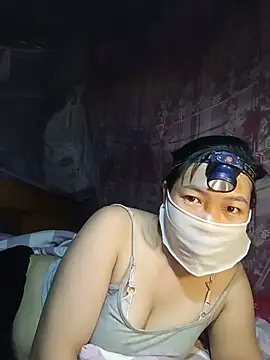 Hiha-nn webcam