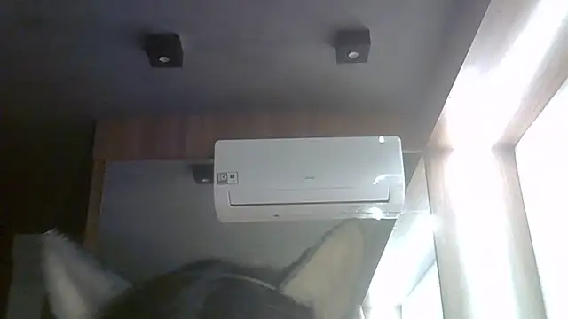 SkinnyKitten webcam