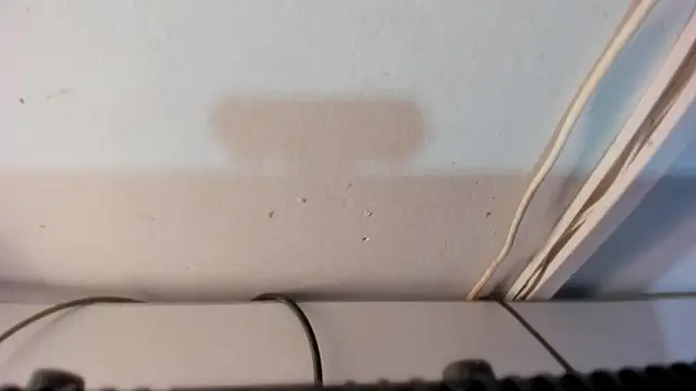 DANITENDER555 webcam