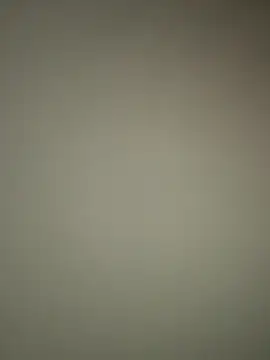 bellag825 webcam